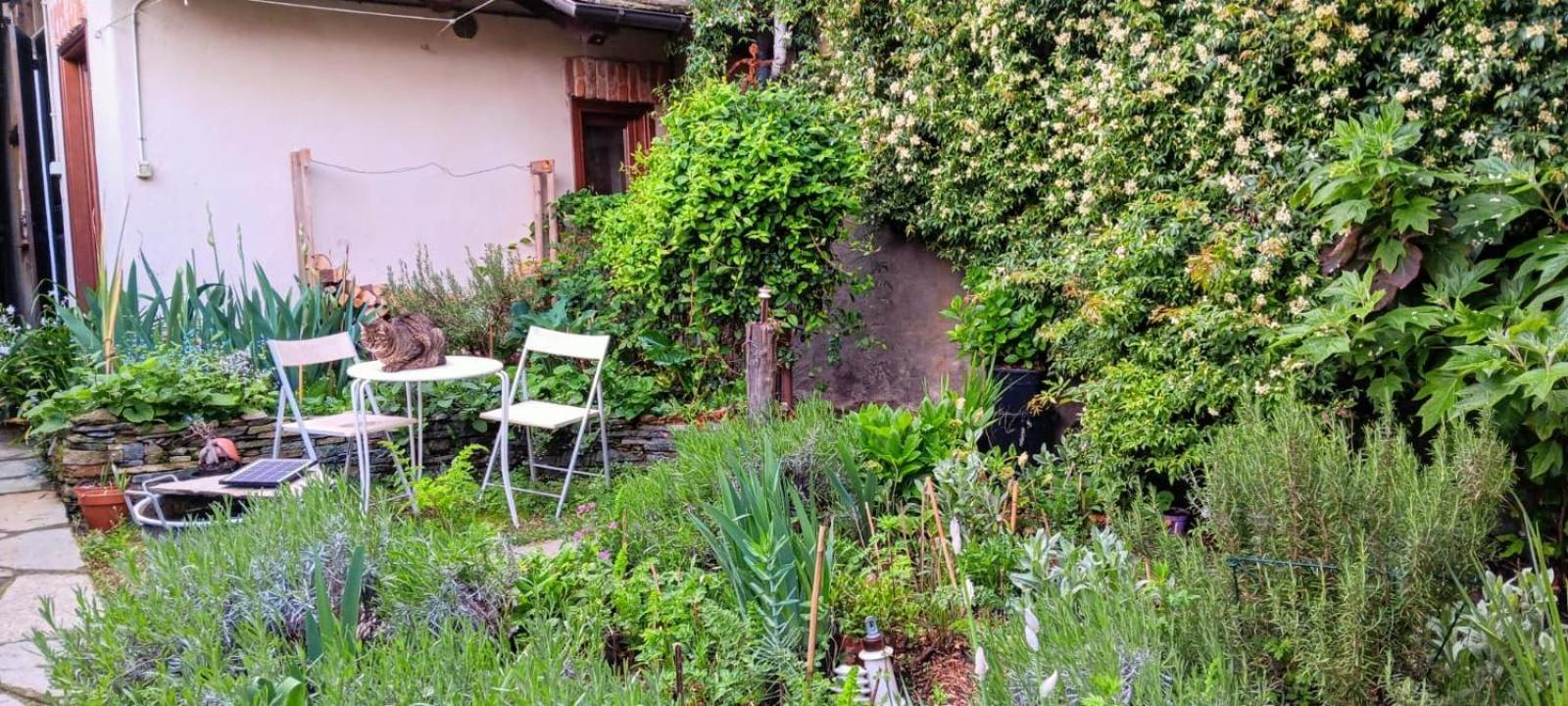 Hotel La Marmotta Luserna San Giovanni Exteriér fotografie